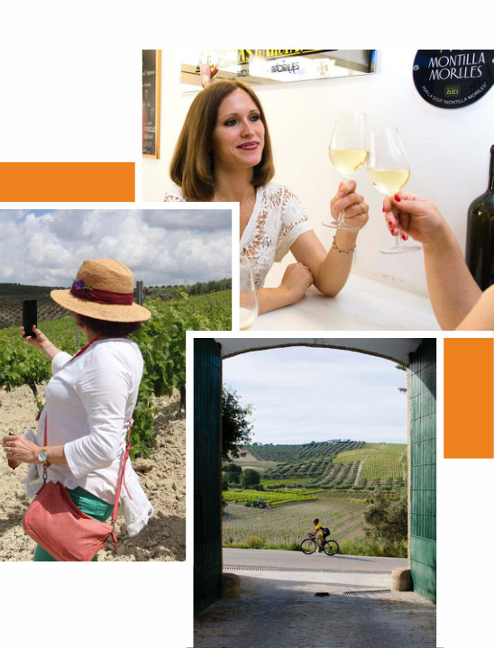 Enoturismo en Montilla